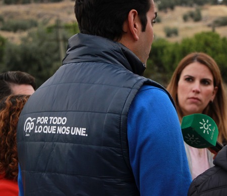 Campaña electoral 10N