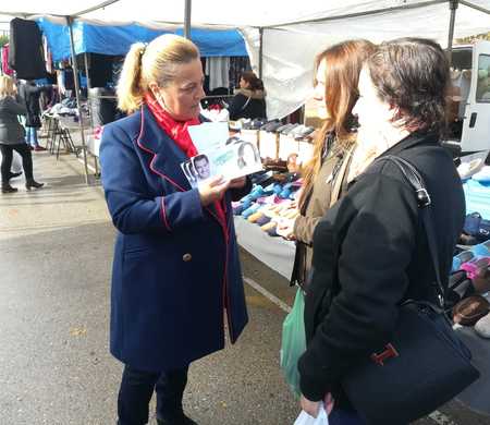 Precampaña y campaña electoral 2D