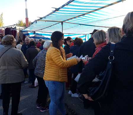 Precampaña y campaña electoral 2D