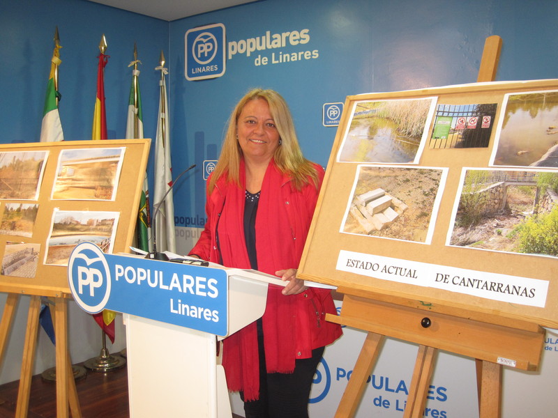 Hidalgo exige la dimisión de Moya y Gómez Mena por “la gestión irresponsable y oscura” sobre el Parque de Cantarranas