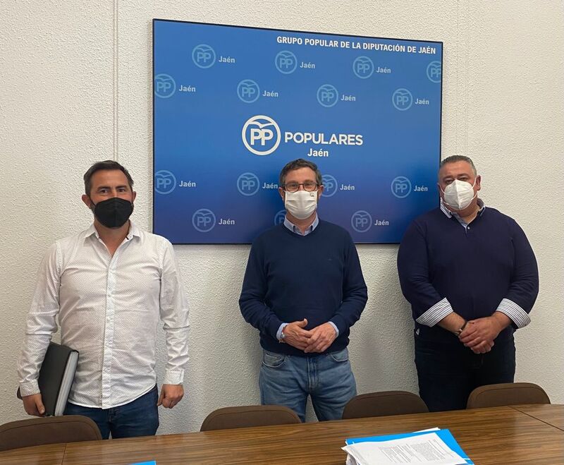 El PP afirma que las ayudas de Diputación para el taxi son “discriminatorias” pues dejan fuera a más de la mitad de los profesionales y pide al PSOE que “cambie el planteamiento e incremente la dotación para dar cobertura a todas las asociaciones de taxist