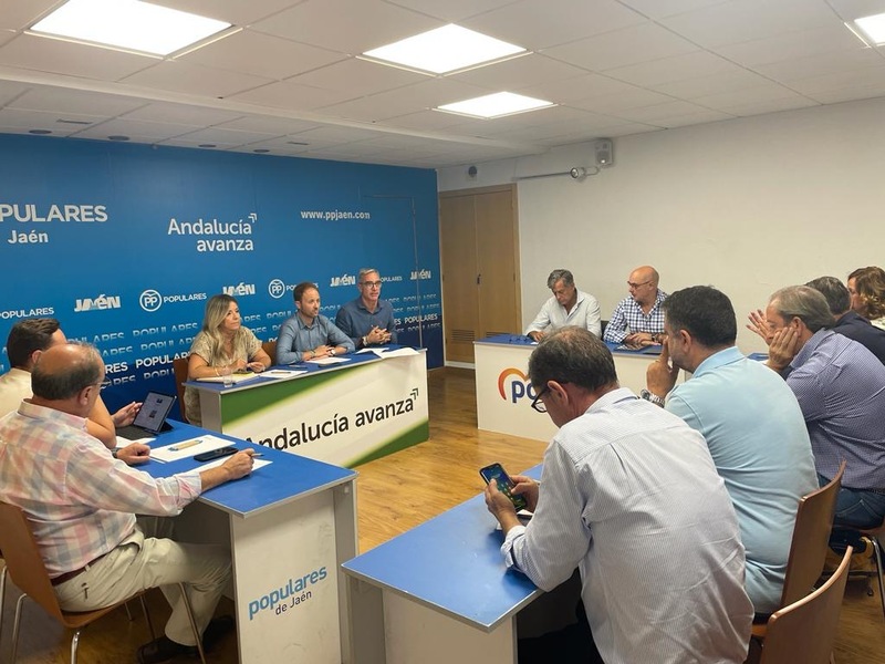 Domínguez exige a Reyes que aclare si va a defender a Sánchez o a los jiennenses y la solidaridad entre territorios  