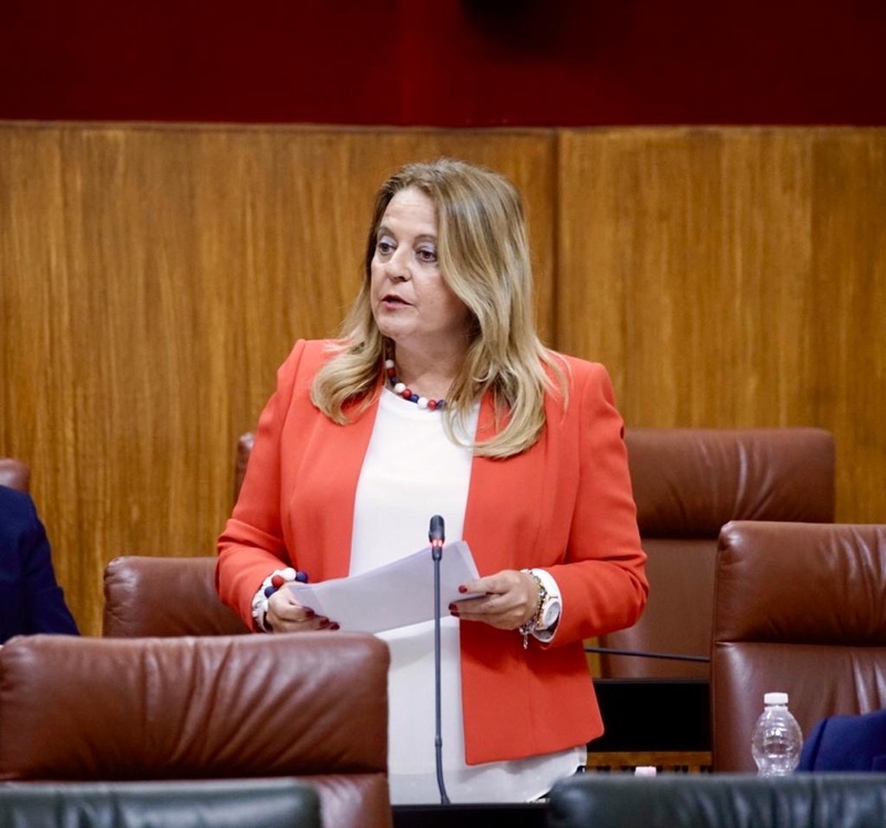 Hidalgo: “El Gobierno de España tiene que rectificar, pedir perdón y apoyar al sector sin fisuras tal y como se hace desde el Gobierno Andaluz” 