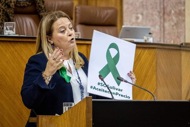 El PP de Jaén denuncia el daño que el gobierno de Sánchez está haciendo al olivar ya que, “lejos de solucionar el conflicto de los aranceles, podría empeorar”