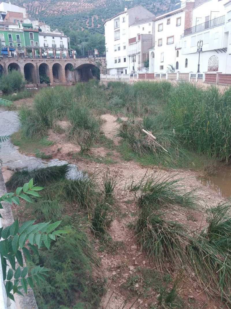 El PP exige la limpieza inmediata del río Guadalimar para evitar que se repita la catástrofe de 2007