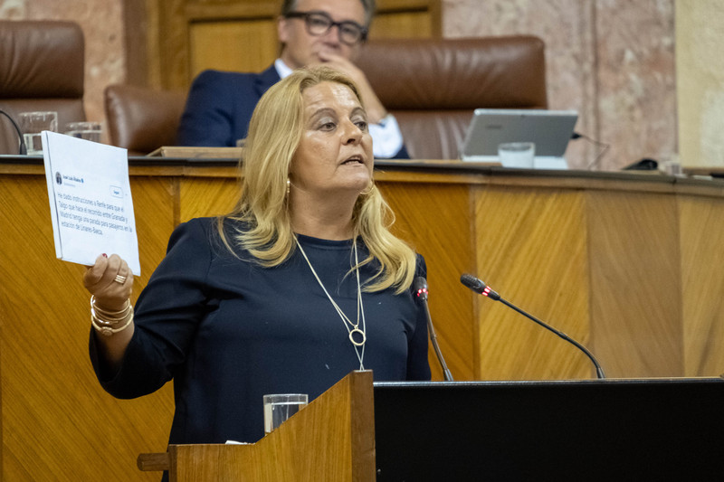 El PP de Jaén logra el “consenso” y sale adelante por unanimidad la PNL en defensa del Talgo Madrid-Granada con parada en Linares-Baeza