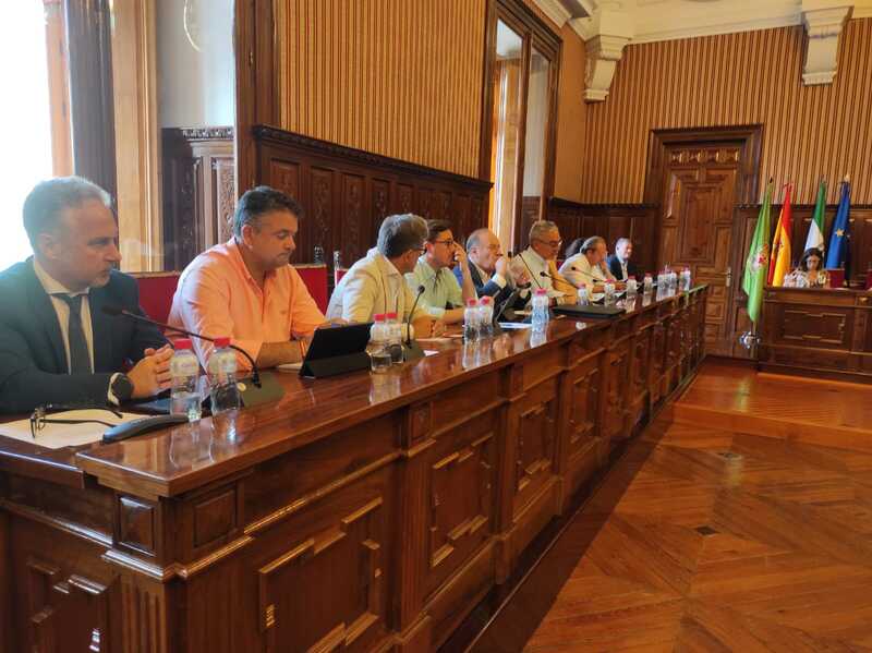 El PP impulsará en la Diputación de Jaén una declaración institucional de condena de los actos terroristas de Hamás