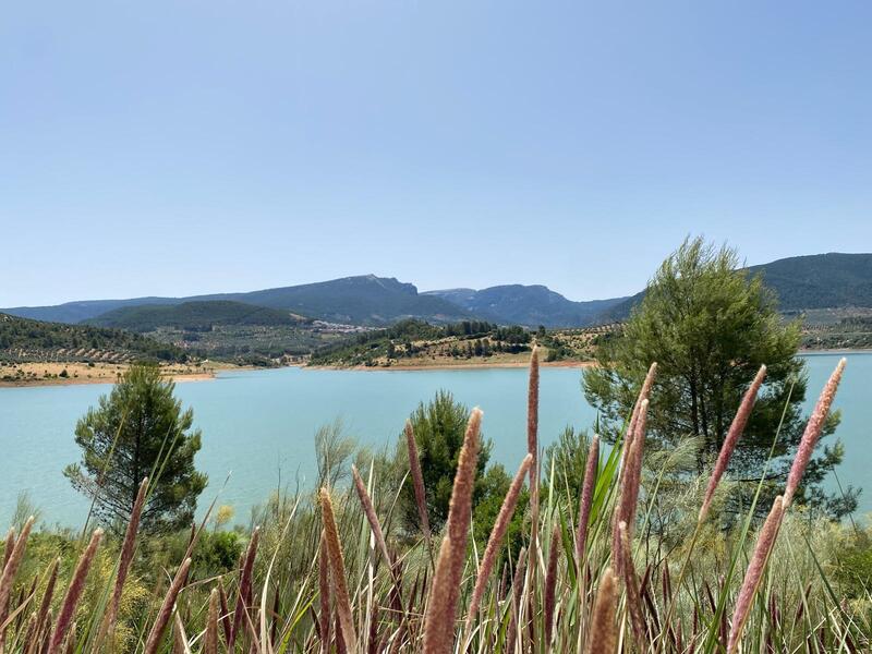 El PP denuncia el nuevo varapalo del Gobierno de Sánchez al campo jiennense, recortando el agua por hectárea para los agricultores de la Presa de Siles 