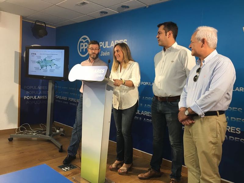 El PP califica el inicio de curso de “desigual” y defiende la convivencia entre los centros públicos y concertados