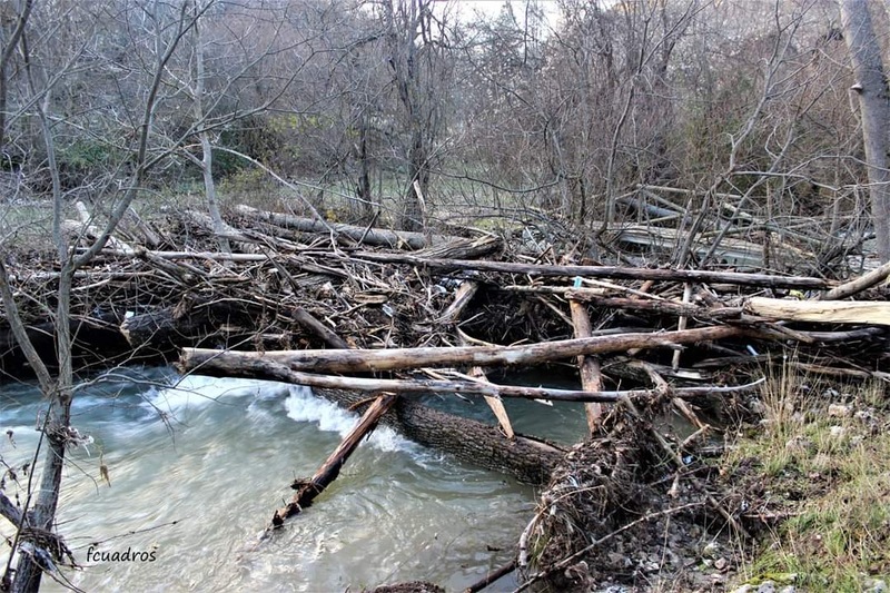 El PP de Santiago Pontones reclama la limpieza de zonas del río Segura y exige actuaciones de prevención 
