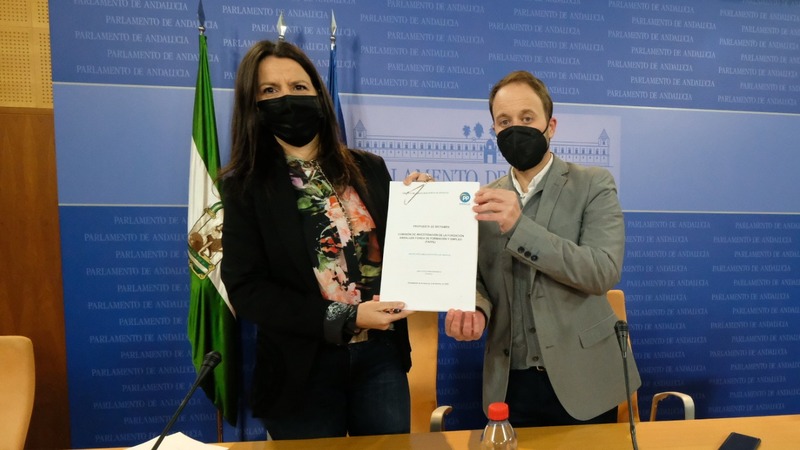 Domínguez señala que los dirigentes socialistas jiennenses “deben condenar las conclusiones de la Faffe que apuntan a sus compañeros de partido durante muchos años”