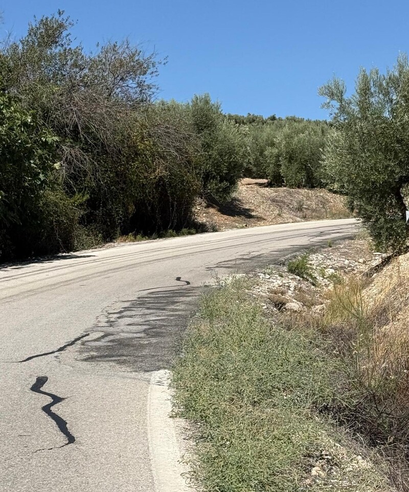 El PP urge a la mejora real del acceso a Torres tras 15 años de olvido y alerta del deterioro “insoportable” de las carreteras provinciales
