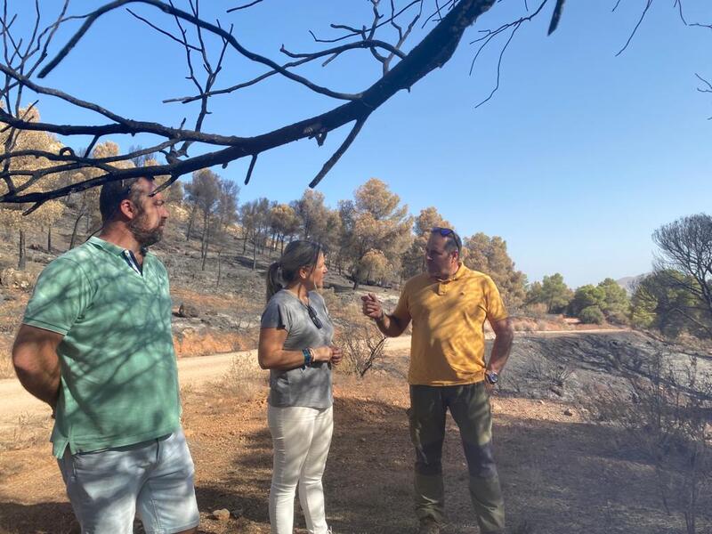 González pide “no politizar” la recuperación de Jódar tras el incendio y dice que “no dudo que todas las administraciones estarán a la altura”