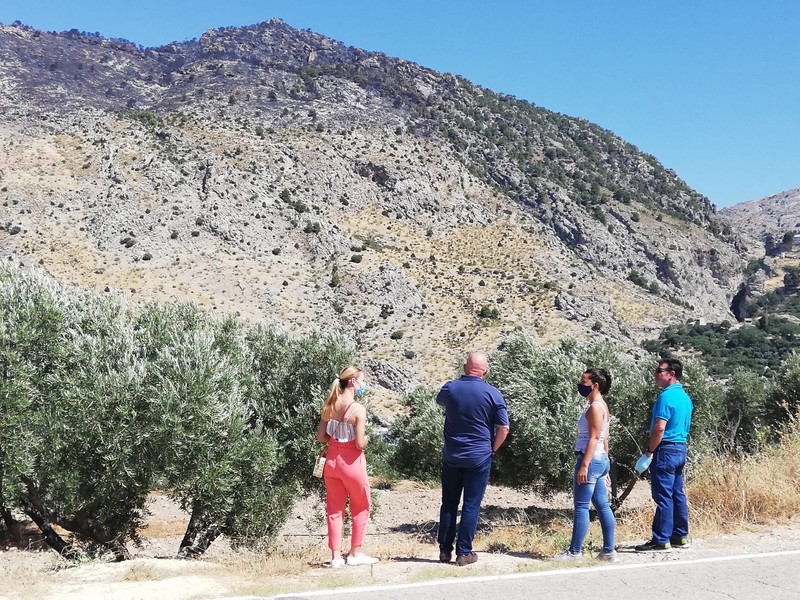 Sáez visita la zona del incendio y traslada su deseo de que todas las administraciones trabajen en tareas de reforestación