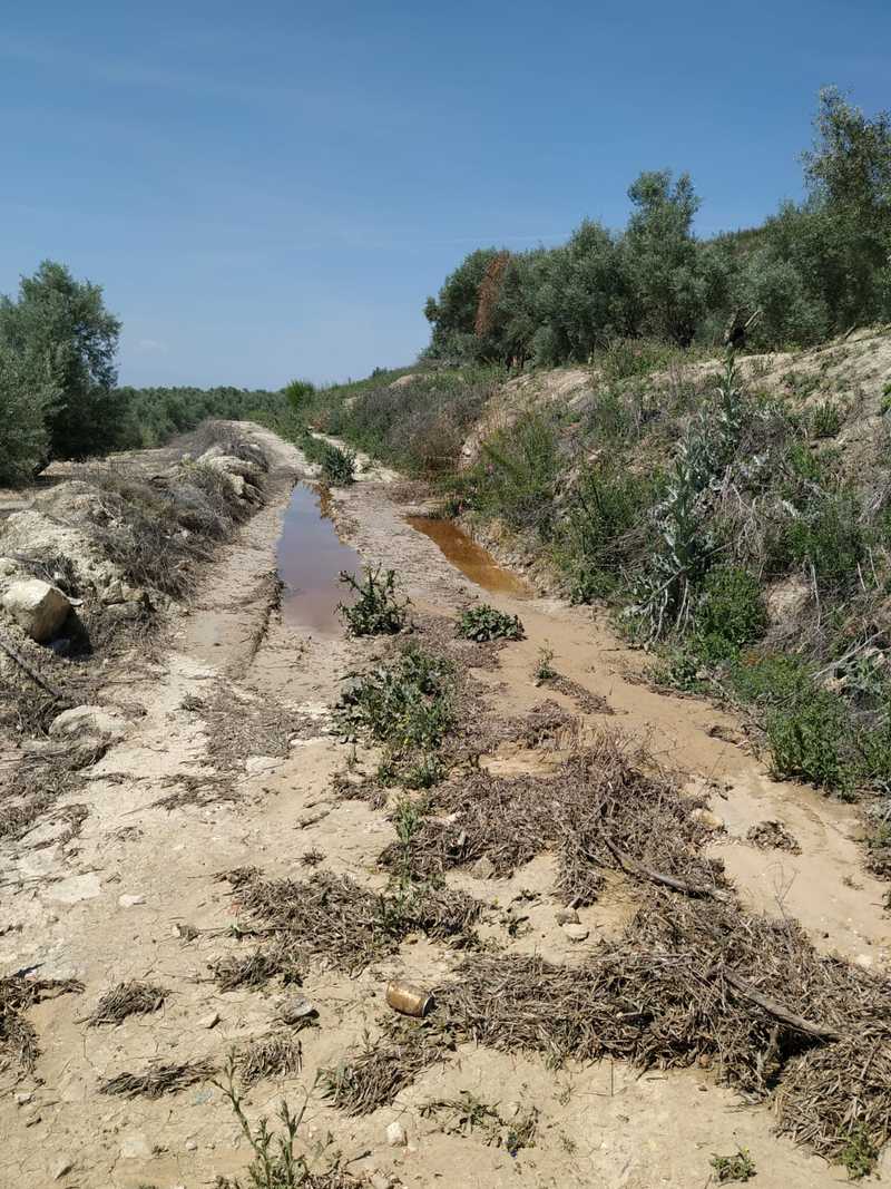 PP critica el “abandono del PSOE” al campo ubetense   