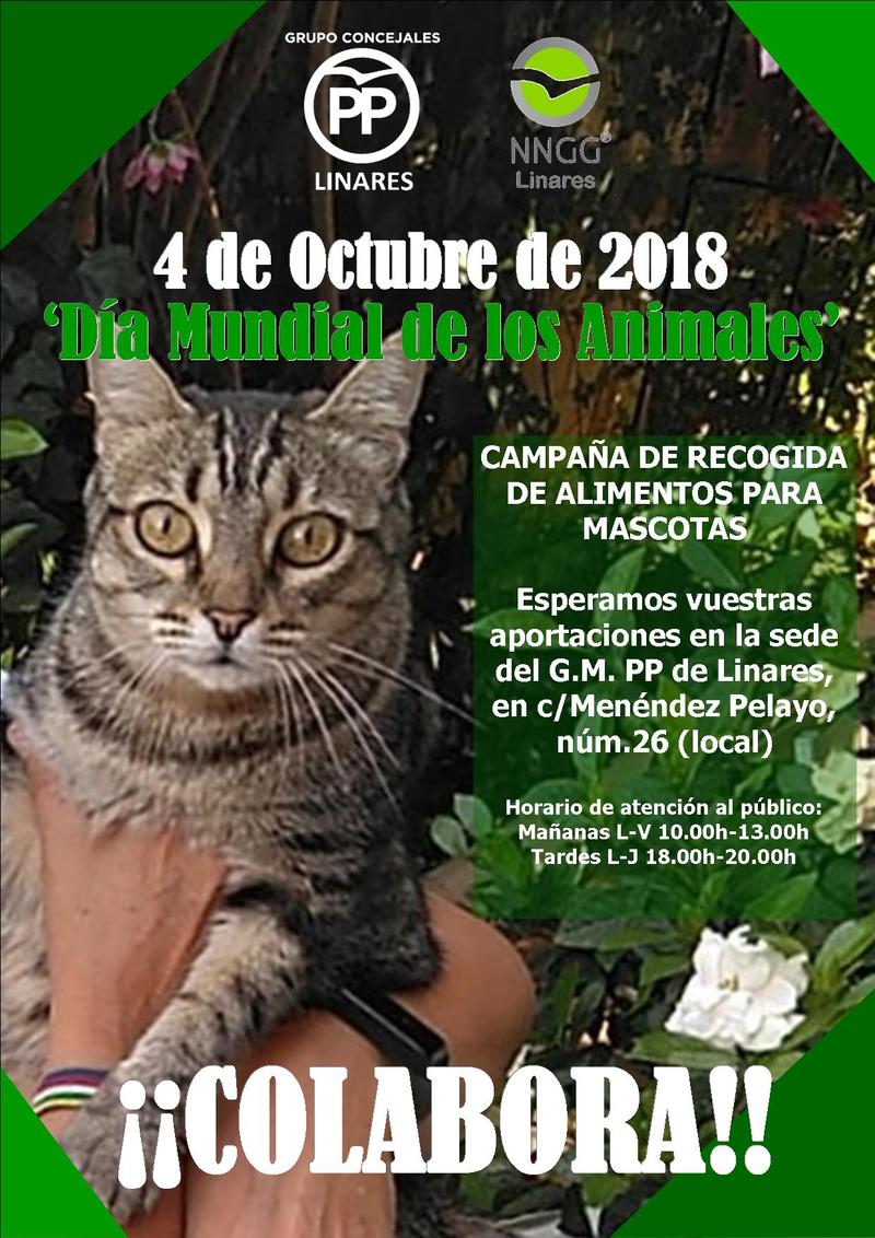 Nuevas Generaciones pone en marcha una campaña de recogida de alimentos para mascotas