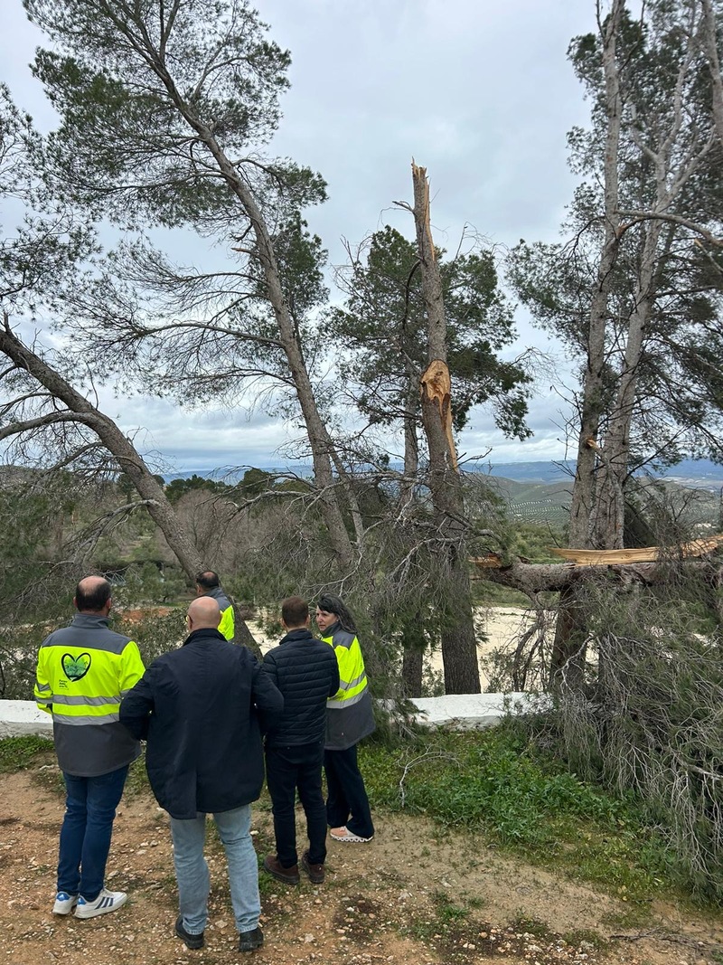 Domínguez pide “unidad y colaboración” y mantiene que “no es momento de mensajes políticos, es tiempo de atender lo inmediato”