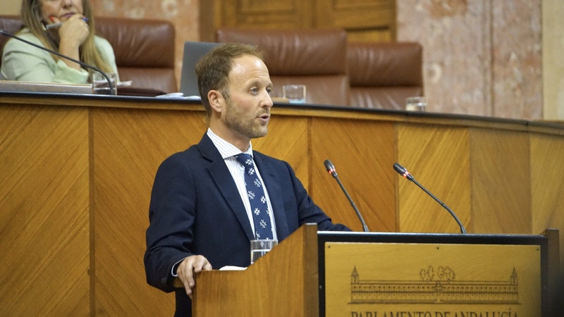 Domínguez: “La estrategia del olivar es fruto del gran trabajo del Gobierno andaluz para proteger nuestros 67 millones de olivos”