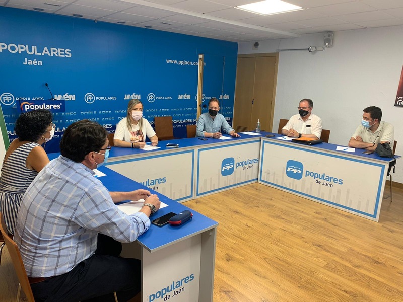 El PP de Jaén inicia ronda de contactos con los Colegios Profesionales  