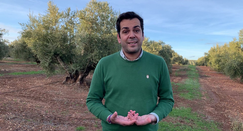 Requena celebra la candidatura de “nuestro paisaje del olivar” a Patrimonio Mundial