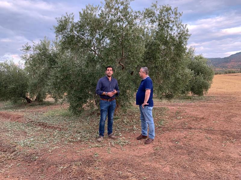 El PP de Jaén exige al Gobierno Central la declaración de zona catastrófica de una zona de la provincia 