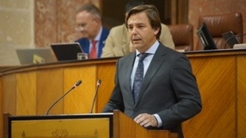 Repullo: “Sánchez niega las necesidades eléctricas de Andalucía que nos harían despegar definitivamente”