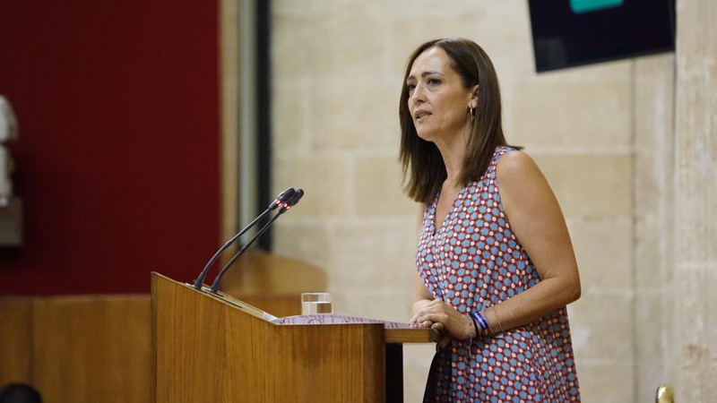 El PP destaca que la mejora de la A-306 marcará “un antes y un después” para los usuarios por el avance en seguridad y capacidad 