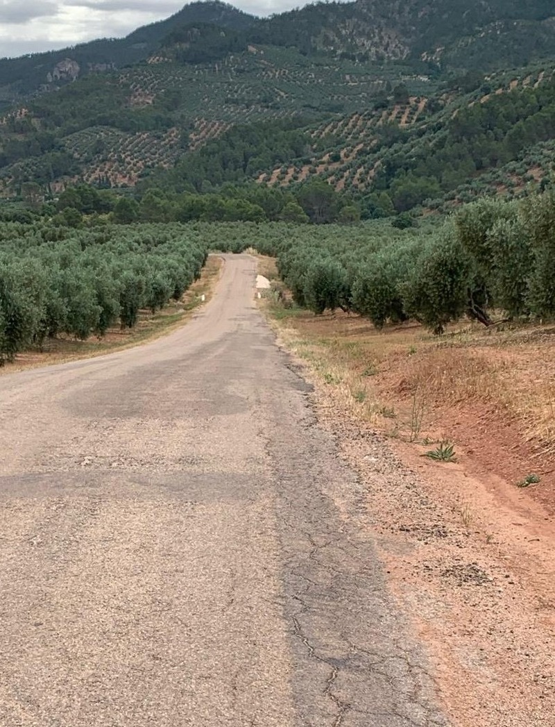 El PP fuerza a Diputación a licitar la carretera de Torres de Albanchez a Onsares tras un retraso injustificable de cuatro años