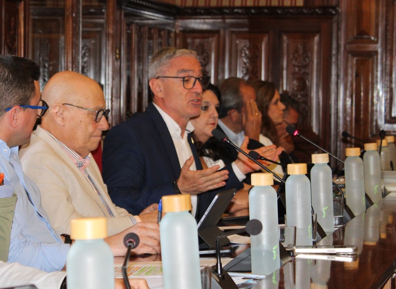 El PP logra que Diputación exija por unanimidad medidas al Gobierno de España por el caos ferroviario que sufren los jiennenses