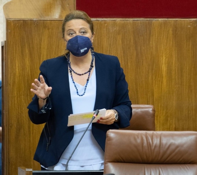 El PP de Jaén recuerda que “en política no todo vale” y usar algo tan serio como la salud de los jiennenses “para sacar rédito político es una auténtica desvergüenza” 