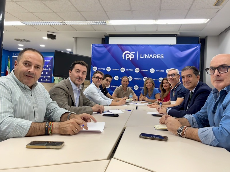 Domínguez: “Con lealtad y moderación, sin bronca política, pero no dejaremos de reivindicar asuntos importantísimos para Jaén como la A-81 o la A-32”