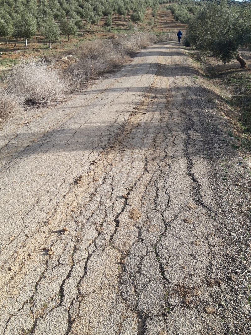 La Vía Verde entre Jaén y Torredelcampo, “intransitable” para corredores, ciclistas y paseantes