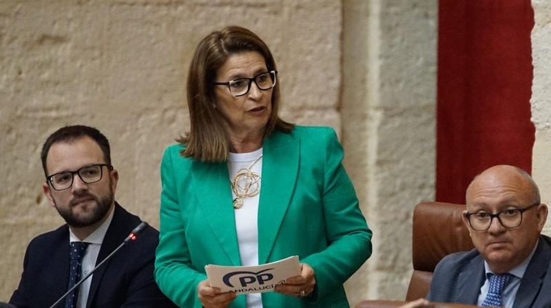 Martín insiste en la plena garantía asistencial del Hospital de Andújar y lamenta la 'cruzada del miedo' contra la sanidad andaluza