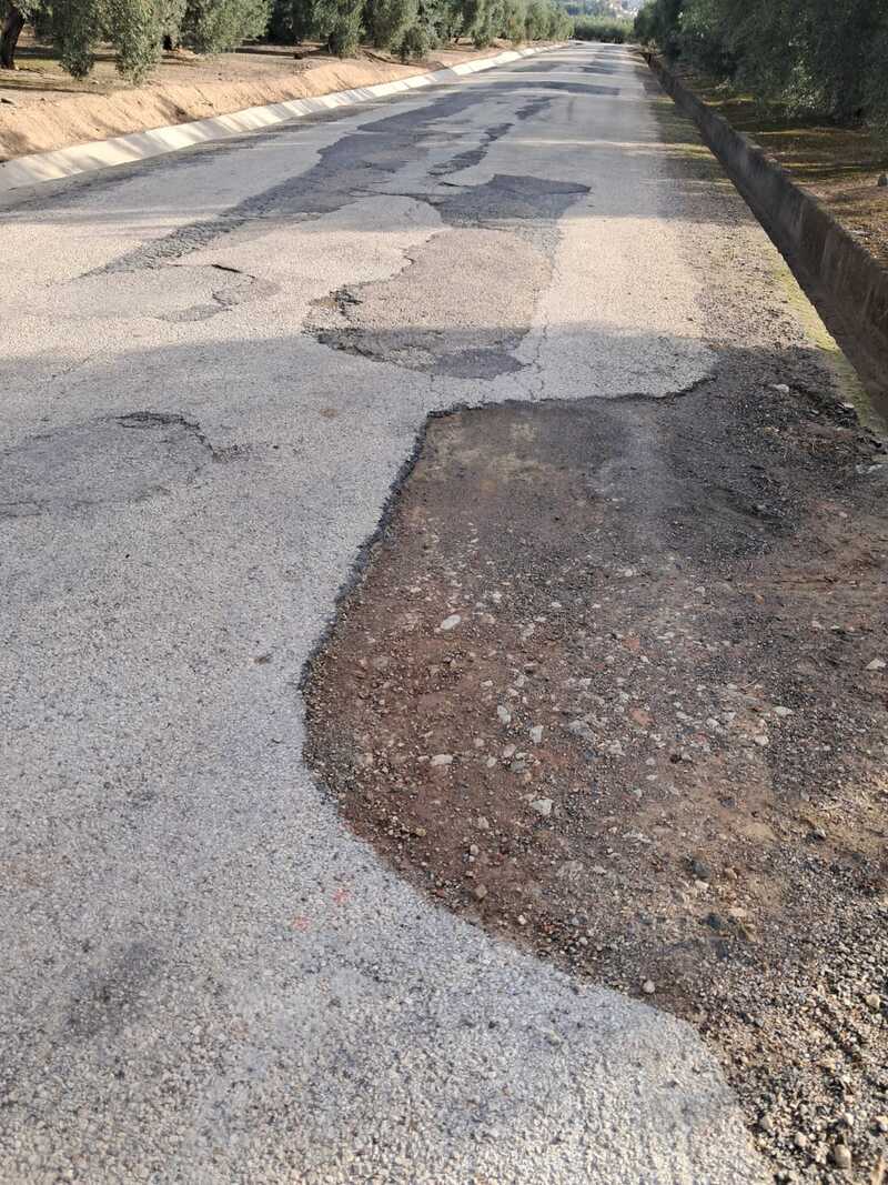Los agricultores jiennenses claman por el estado de los caminos y vías de Diputación, intransitables para la recogida de aceituna