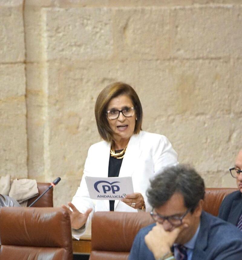 Martín subraya la implicación de la Junta en los albergues de temporeros y recuerda que el PSOE los dejó 'a cero'