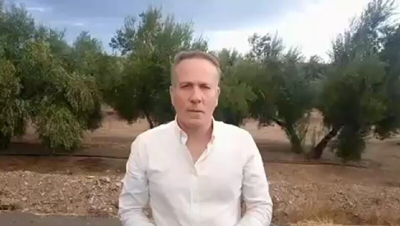 El PP de Jaén agradece la sensibilidad y responsabilidad del Gobierno de Juanma Moreno con el olivar jiennense afectado por el algodoncillo