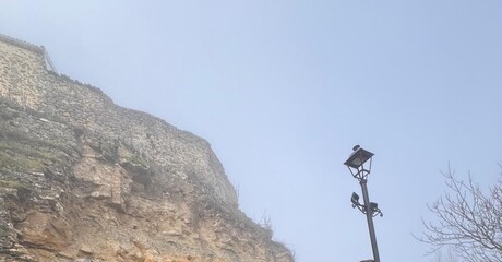 Partido Popular de Jaén