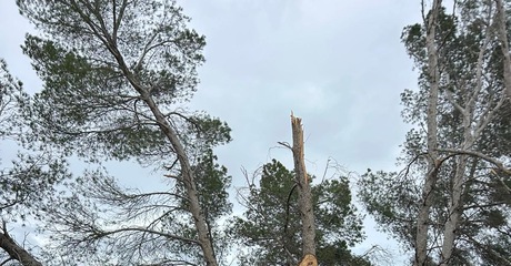 Partido Popular de Jaén