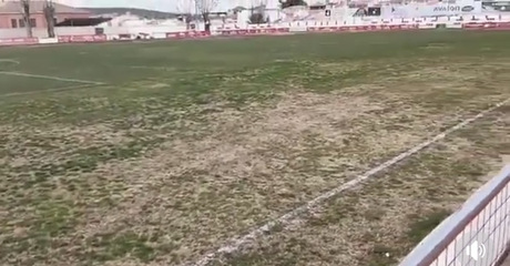 Partido Popular de Jaén