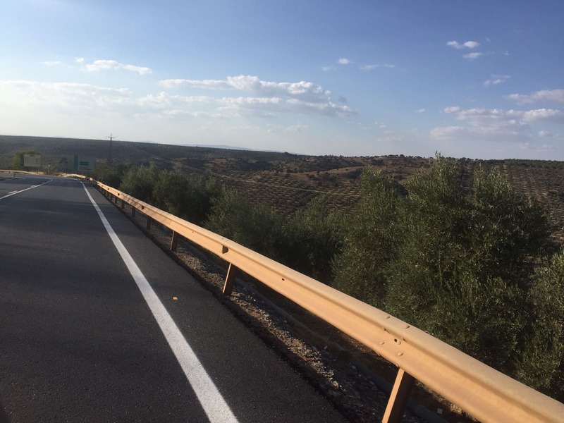 El Partido Popular denuncia que el parcheo de la A-312 ha sido “ridículo e insuficiente”