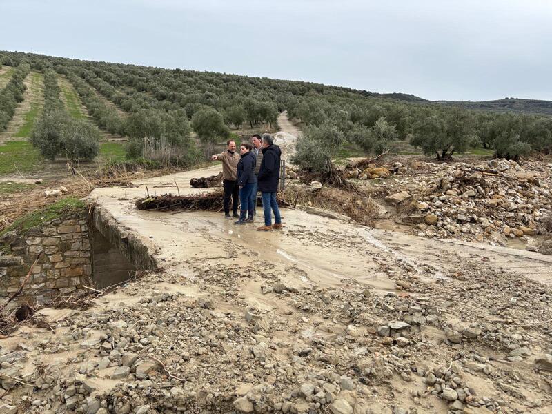 Domínguez asegura que el Gobierno andaluz redobla esfuerzos para paliar los efectos del temporal pero asegura “que Andalucía no puede sola” y pide al resto de administraciones su colaboración